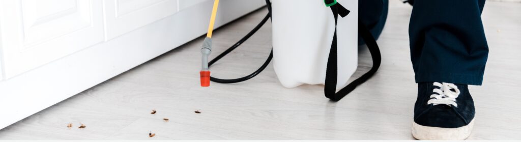 Cockroach control services