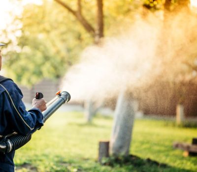 Pest Control Services 360