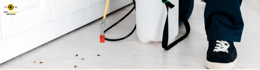 Cockroach Control Services