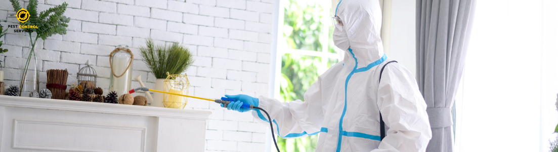 70 Bed Bug Treatment
