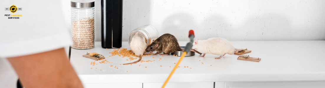 8 (3) Best Rodent Control