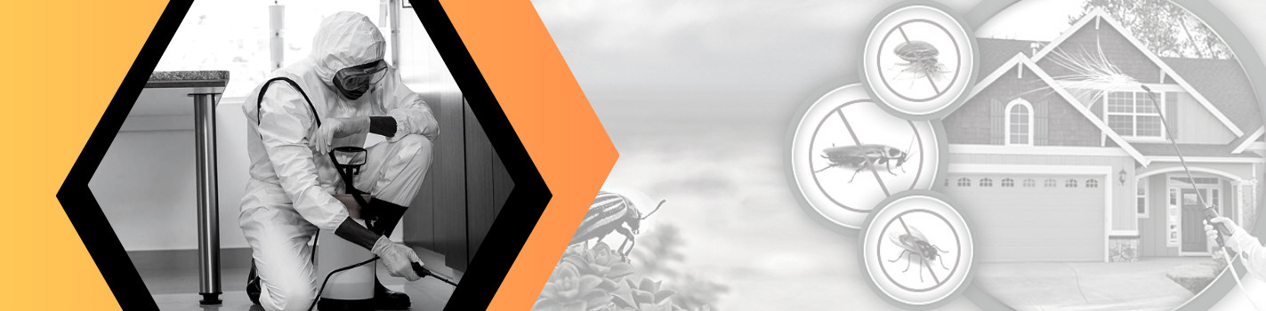 Pest Control Services 360