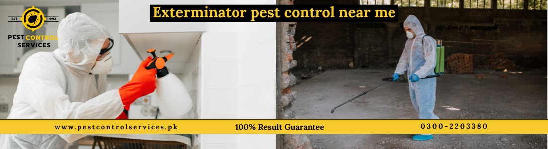 Exterminator Pest Control