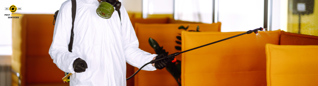Pest Control Services