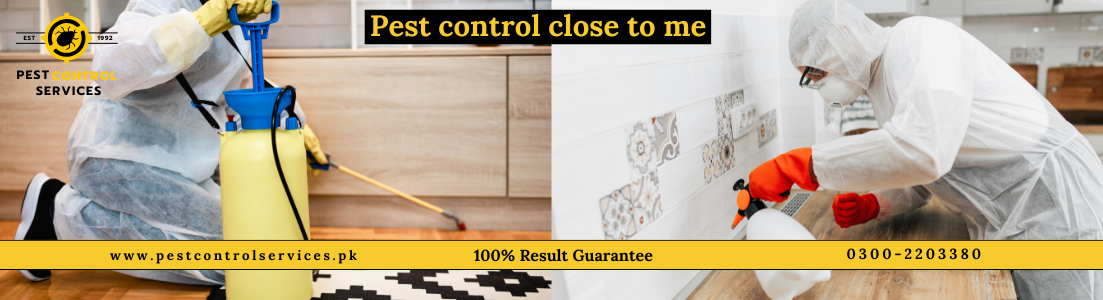 Pest Control Close to Me