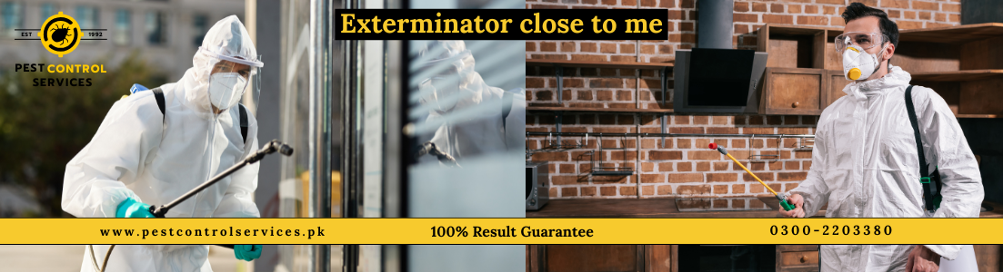 Exterminator Close to Me