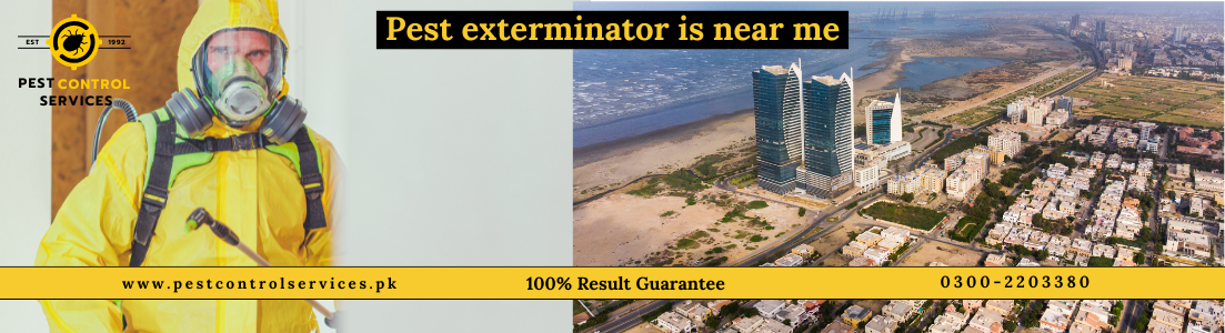 Pest Exterminator Near Me