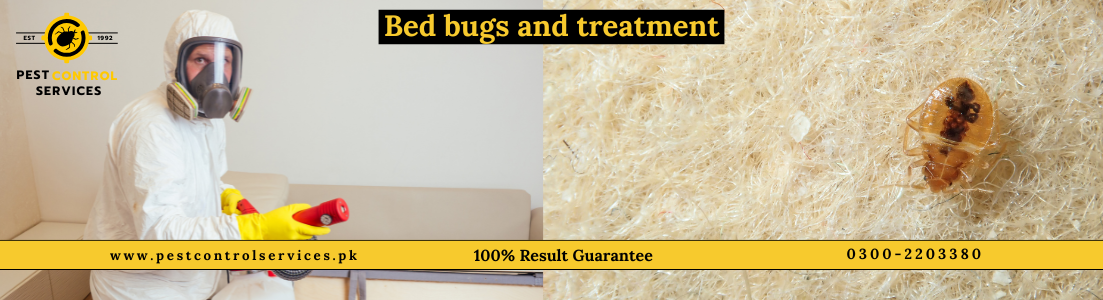 Bed Bugs Treatment