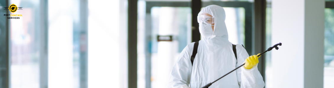 Pest Control Near Me