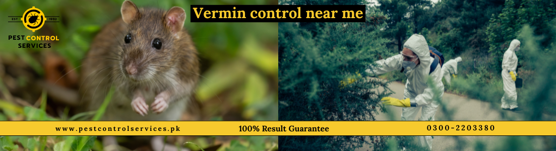 Vermin Control Near Me