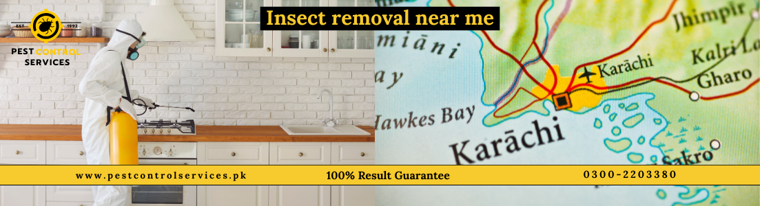 Insect Removal Near Me