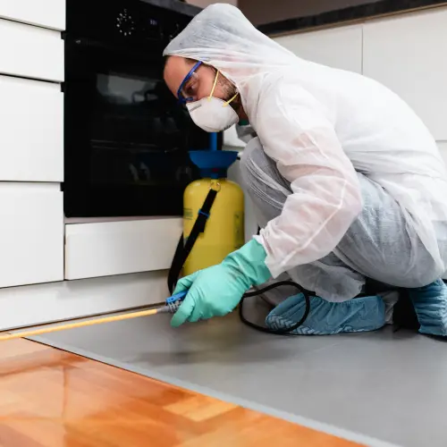 Pest Control Fumigation in Karachi Explained