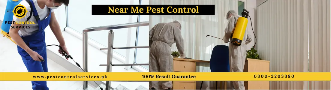 Pest Control Fumigation in Karachi Explained