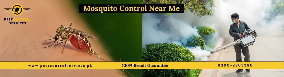 Fumigation Services in Karachi for Mosquitoes