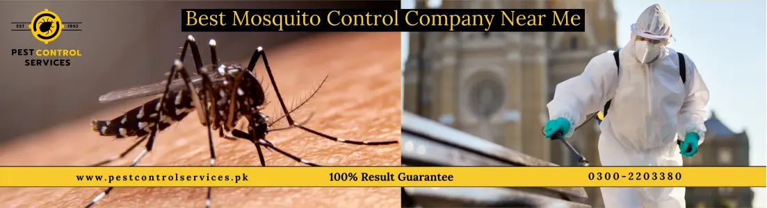 Fumigation Near Me for Mosquito Control