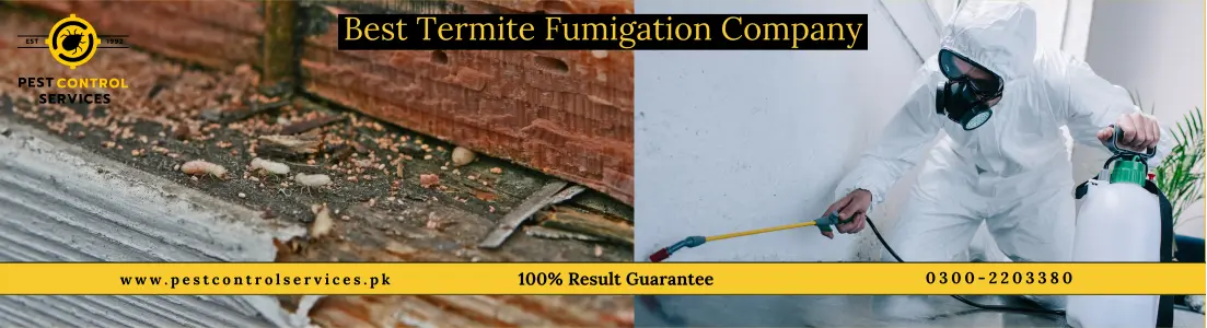 termite control
