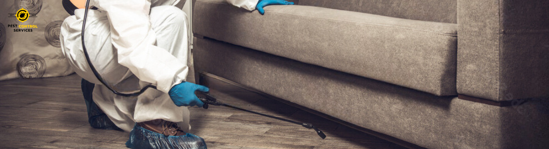 Pest Control Service in Karachi