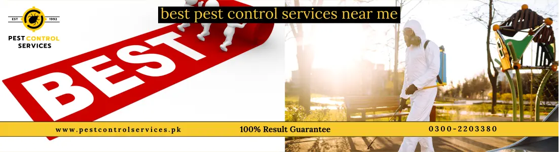 Pest Control Services 360 Content Image