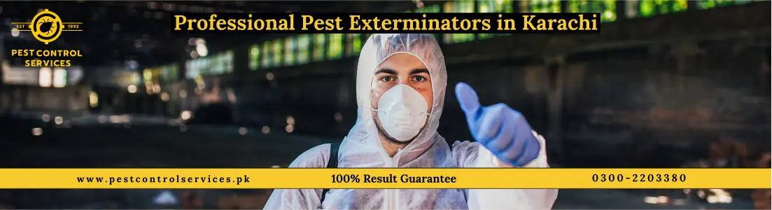 Fumigation Services Near Me