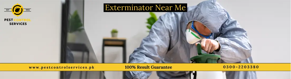 Exterminator Near Me