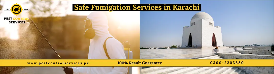 Pest Control in Karachi for Tick Removal