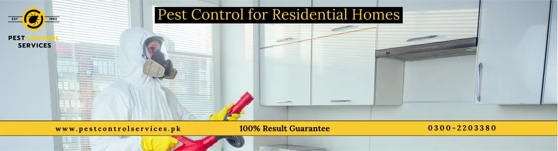 Karachi Pest Control Services