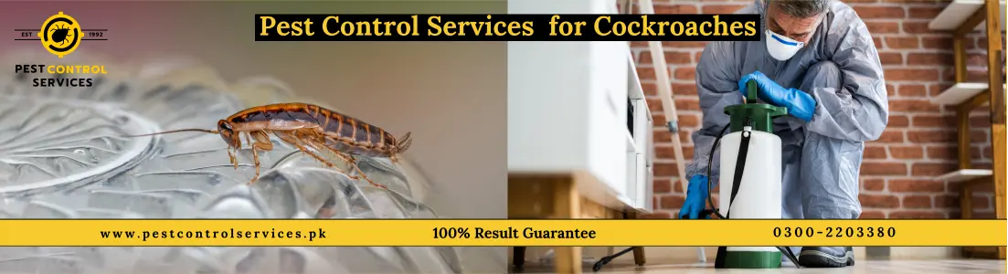 Cockroach Pest Control Services