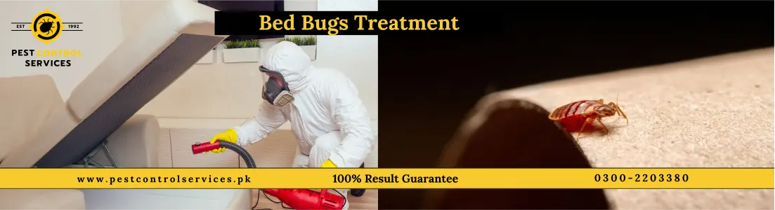 Bed Bug Treatment Services