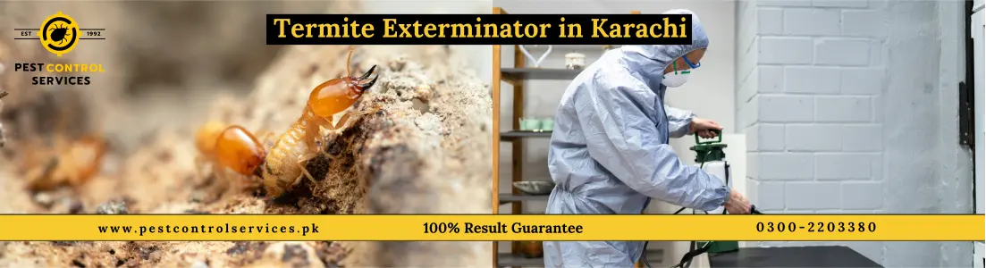 Pest Control Services 360 Content Image