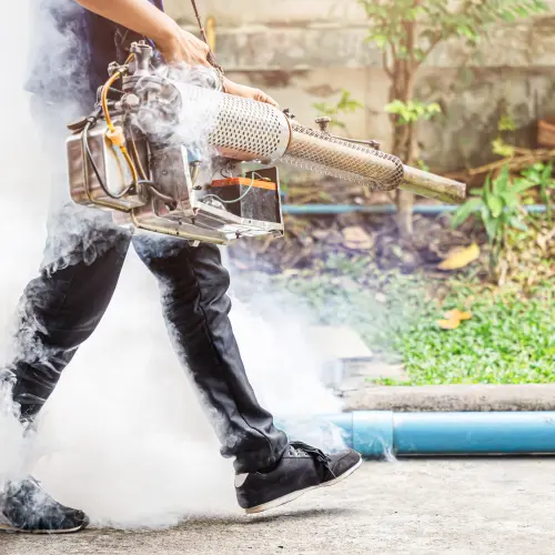 Fumigation Services in Karachi for Mosquitoes