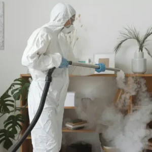 Pest Control Fumigation for Tick Problems