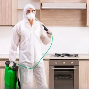 Best Fumigation Services in Karachi