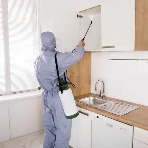 Pest Control Service in Karachi