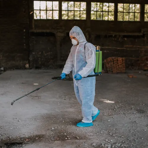 Karachi Pest Control Services for Ticks