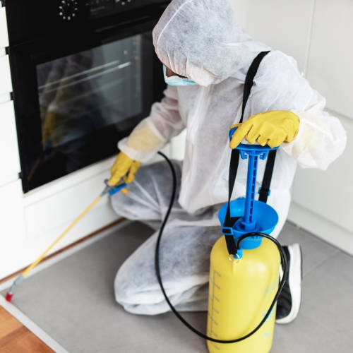 Exterminator