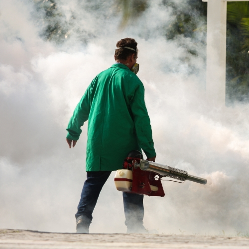 Fumigation For Mosquito Control