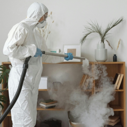 Fumigation Services