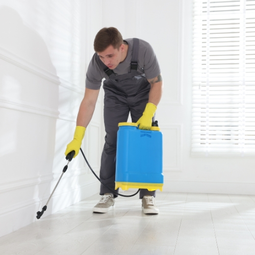 roach control services in karachi