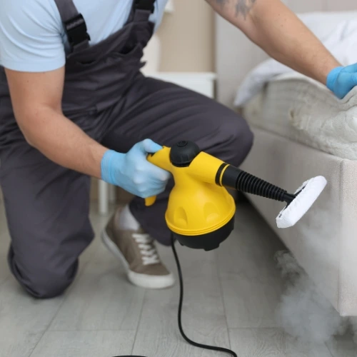 bed bug control