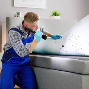 bed bug fumigation