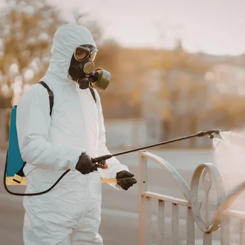 fumigation services